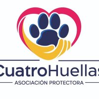 Cuatro Huellas(@huellascuatro1) 's Twitter Profile Photo