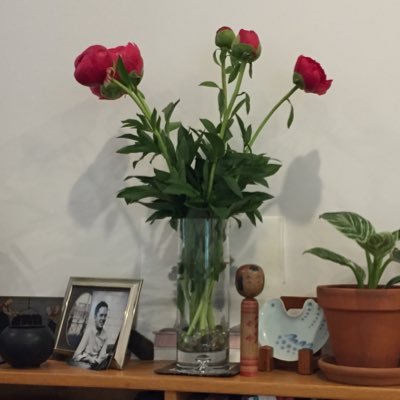 litjenny's profile picture. politics sceptic. mum. nonna. swimmer.🏠