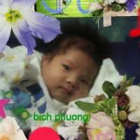 Phung Tran - @PhungTr95336069 Twitter Profile Photo