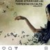 dory risueño (@doryrisueno) Twitter profile photo dory risueño (@doryrisueno) Twitter profile photo