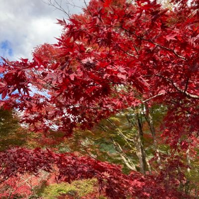 Sek11108889's profile picture. 博士(理学)取得後製薬→製薬 興味: 生物化学/計算化学 wetとdryの二刀流で生きていきたい。最近バイオインフォマティクスとM&S始めました