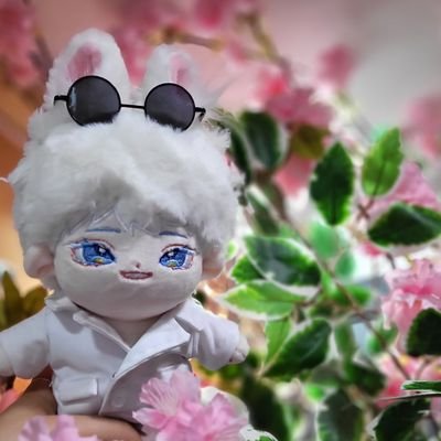봄봄봄さんのプロフィール画像