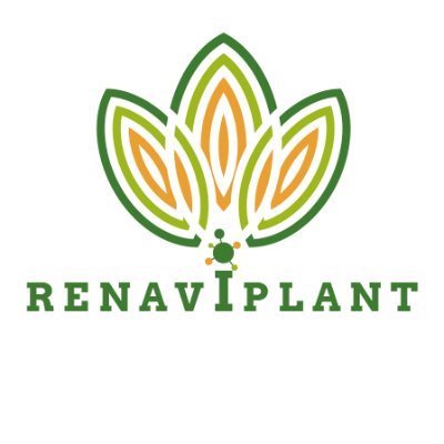 REd NAcional de VIrología de PLANTas (RENAVIPLANT). 
Spanish Network of Plant Virology. Over 14 research groups aligned in this topic! held by Pedro Gómez.