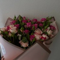 ππ°πͺππ (@_asma__12) 's Twitter Profile