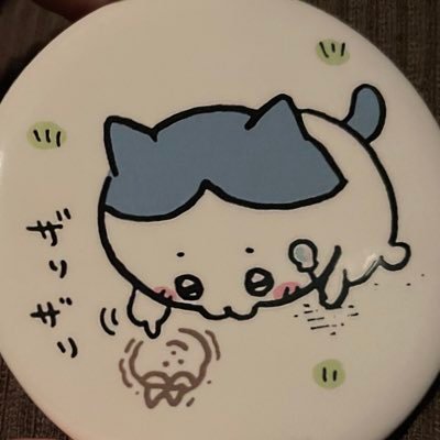 ハチワレ激推し ハチワレちゃんはフジデコ説あるよね、でもカタカナでハチワレ、っていうのが最高可愛い  わが家のぽてたまハチワレちゃんを溺愛しております☺️💕