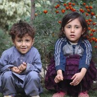 Umar Afridi (@umarafr21170157) 's Twitter Profile