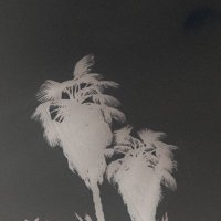 Rudini (@rudini__) 's Twitter Profile