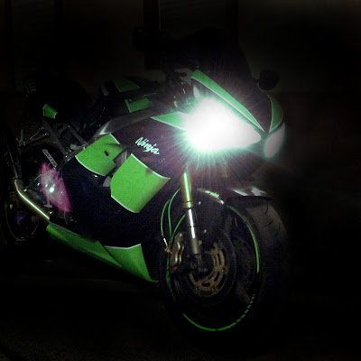 Mongoos08014482's profile picture. 