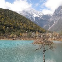 13389.lens(📜,🤝)🛸(📦,💫) 🌘❤️ Memecoin (@outfer2) 's Twitter Profile