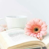 آنراندرو إملي ملهماتي (@poo0oob) 's Twitter Profile
