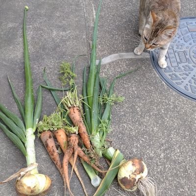 🌠村生まれ町育ちの猫背🐱
みんな頑張ってるから私も頑張る🧚。

いいね❤は共感や応援の気持ちです😄『私が生きている今日は誰かが生きたかった明日☀』