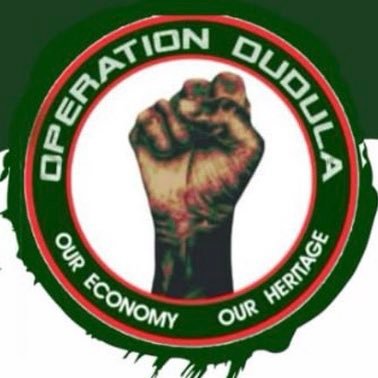 Operation Dudula Profile