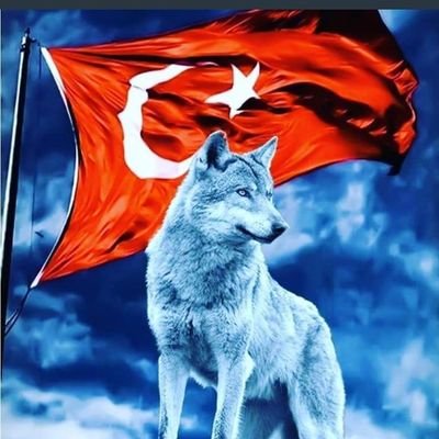 Eğilsem Çok Kapıdan Geçerdim 'Ama Ben Dik Durmayı 'Seçtim.. 🤘🤘🇹🇷🇹🇷🇹🇷🇹🇷