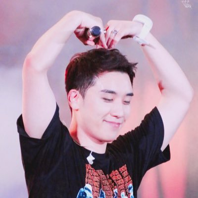 I like Seungri and GDragon.. My biggest wish is happiness and peace for Seungri. I still support BIGBANG because Seungri love this band so much.