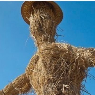 Strawman2011 Profile Picture