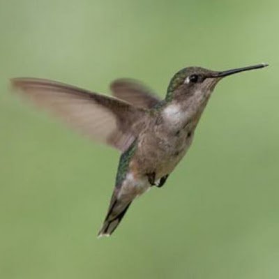 ArjonaBartomeu's profile picture. 