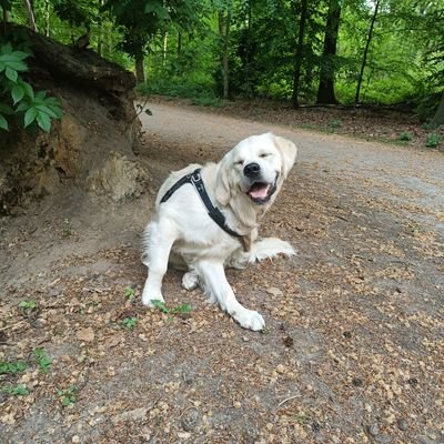 bored_def's profile picture. 