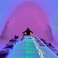 Rosa M (@rosa_m__) 's Twitter Profile