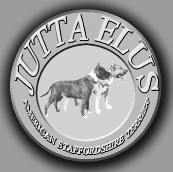 juttaelus's profile picture. Кинолог,Интернациональный эксперт РКФ,Интересует всё,что связано с природой и её обитателями.