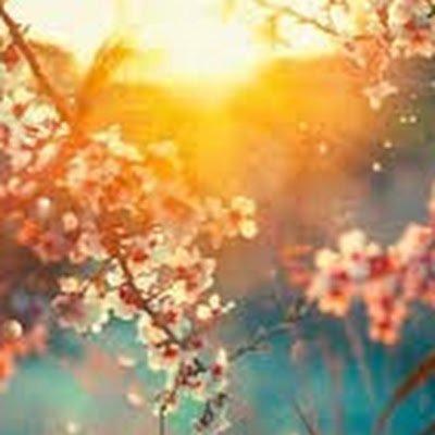 KristyP28933200's profile picture. 