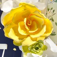 やみ🕊🌼*・.•*¨*•.* (@happy_hara831) 's Twitter Profile