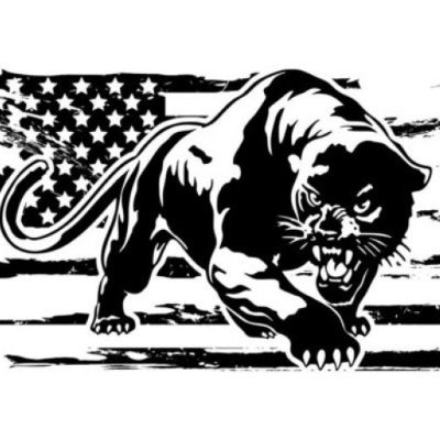 Panther28065658's profile picture. Mean Old man