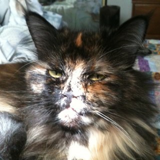 SandyG62's profile picture. married