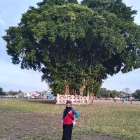 Hesty Widyasih (@hwidyasih) 's Twitter Profile