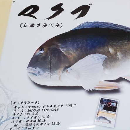 WEBqSzgNnqdcpRO's profile picture. 