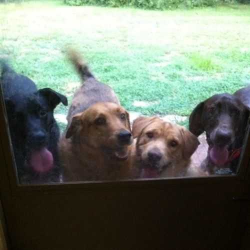 zoltara's profile picture. 