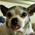 Peter T (@petert73328325) Twitter profile photo Peter T (@petert73328325) Twitter profile photo