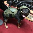 GodRodThor - @ShaneEaton15 - Twitter