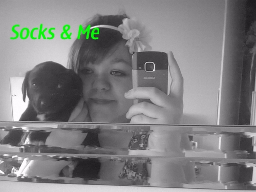 PaulaBVBxx's profile picture. Paula | love BVB! | 13 | single.. follow me i follow back :) :D. if u wanna chat to me go ahead ;D.. if your going to make fun of me.. FUCK OFF! :D