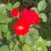 has (@has66425772) Twitter profile photo has (@has66425772) Twitter profile photo