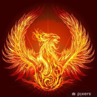 oxymoronKg (@oxymoronkg) 's Twitter Profile