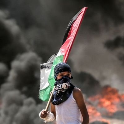 213Alaz's profile picture. 