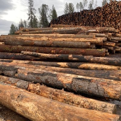 larsendale85's profile picture. 