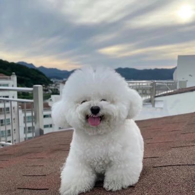 v1_v1_v1_v1h's profile picture. Please forward my tweets and uncover their ugly masks. They like to confuse people.