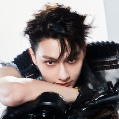 wwjnpic's profile picture. for wen junhui and jeon wonwoo.