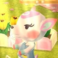 andjelacamp's profile picture. 19 || she / her || pisces || 🐱🔮🎸 || acpc || level 101