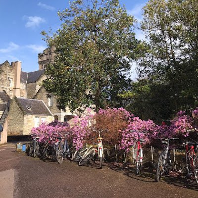 Jynxer11's profile picture. 