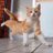 qq89_D's profile image