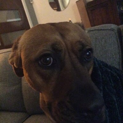 HoustonCook16's profile picture. 