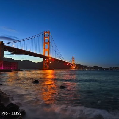 GoldenCoolFish's profile picture. 