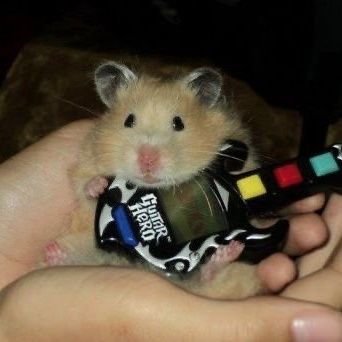 jossi_lover's profile picture. 선량한 구독계