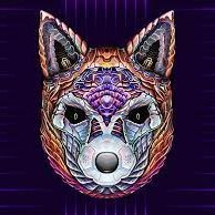 CyberFox1776's profile picture. 