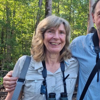 Birder, retired vet, small scale sheep breeder in the Norfolk Broads and lucky enough to own 40 acres of it. Doing our best to improve it for wildlife