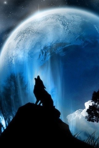 ElSRlS's profile picture. 