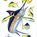 Appstate Guy Harvey - @AppGuyHarvey - Twitter