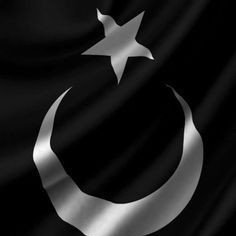Pakistan is my Pride Al Humdolilah. 
Hazrat Mohammad (sal lahu alahe wasalam) is my Mentor.